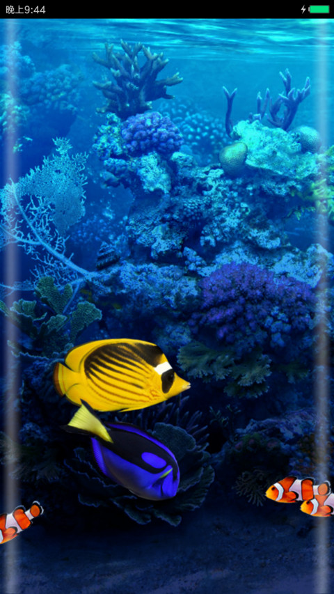 Aquarium海底世界 preview