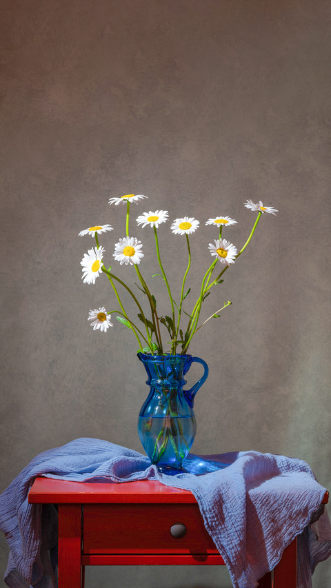 Bouquet of pale daisies in a blue vase on a red table preview