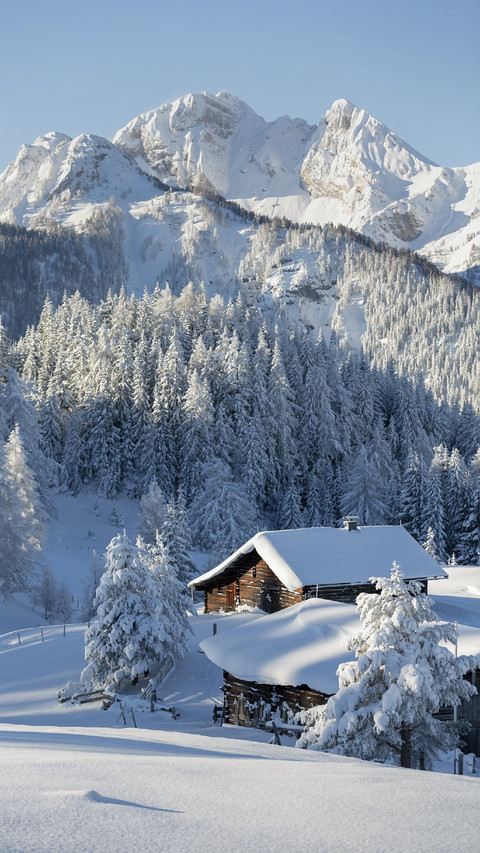 Winter Wonderland preview