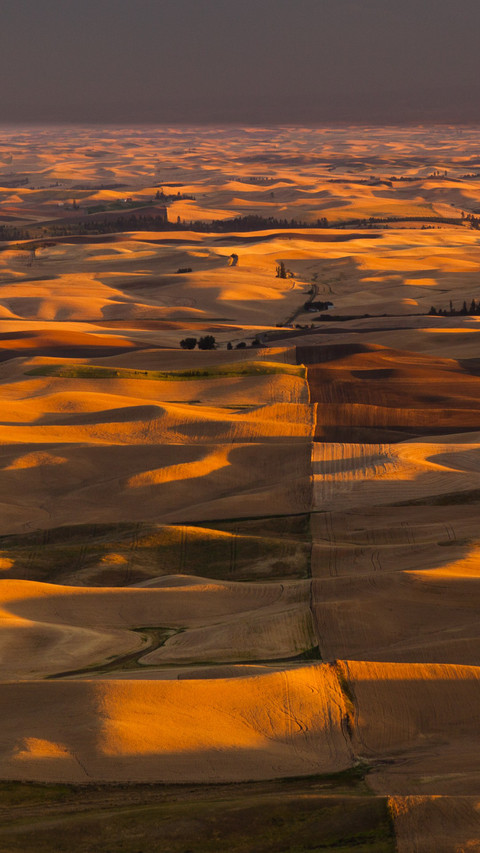 Farmland scenery at sunset in Palus preview