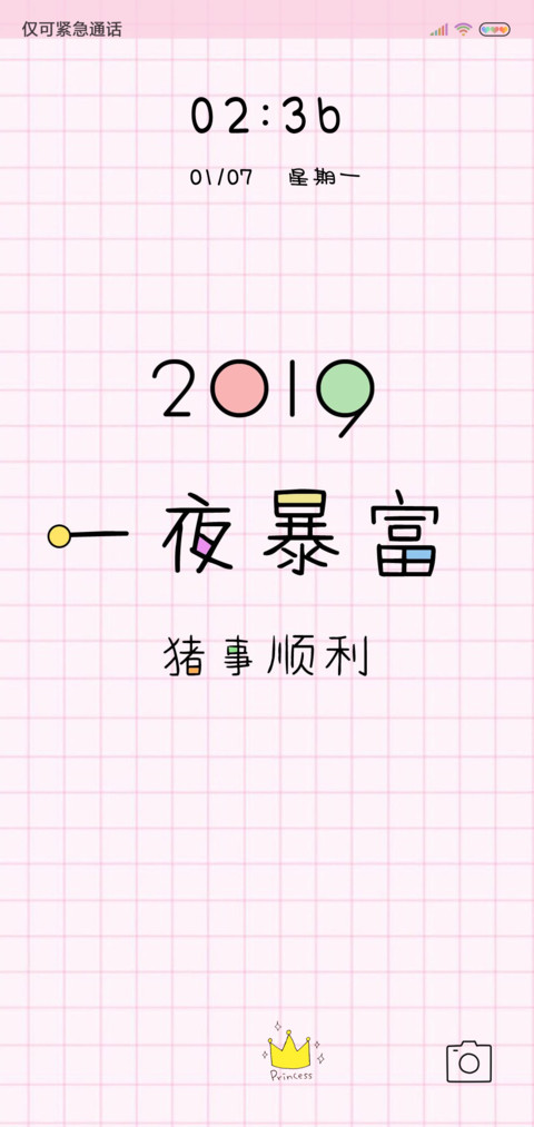 2019猪事顺利 preview