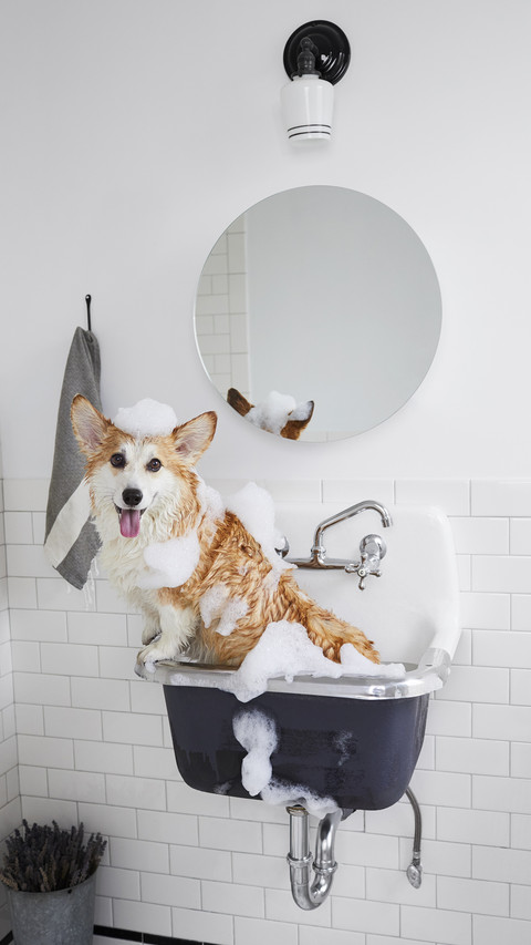 Why do we love bathing 45 preview