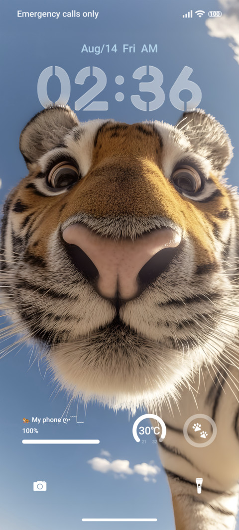 Tiger 3D preview