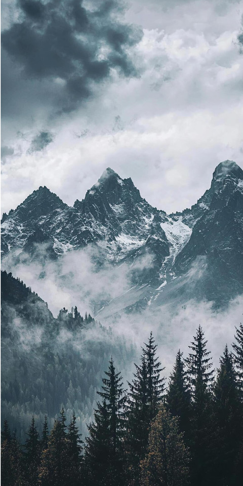Mountains and Freedom (3).jpg preview