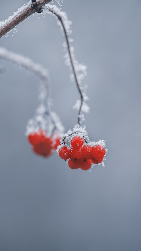 Will it be colder this winter 27 preview