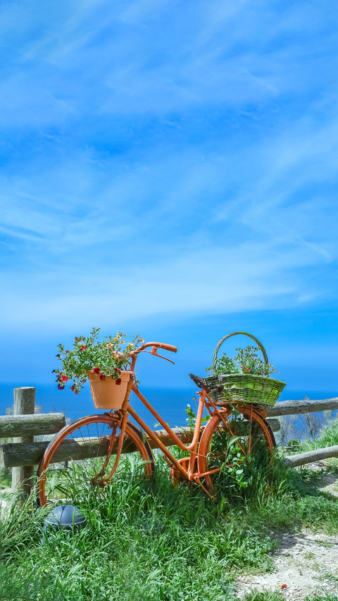A recycled bicycle decorated with fresh flowers preview