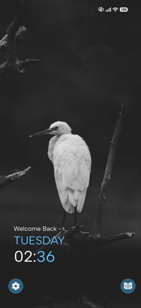 Snowy Perch preview