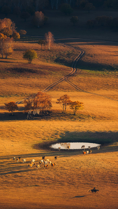 Attractions suitable for late autumn travel 43 preview
