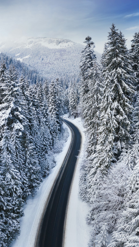 The Road Passes Through The Snow-covered Forest preview