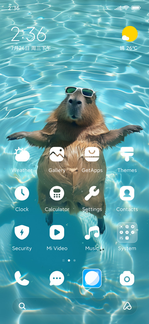 Resort capybara preview