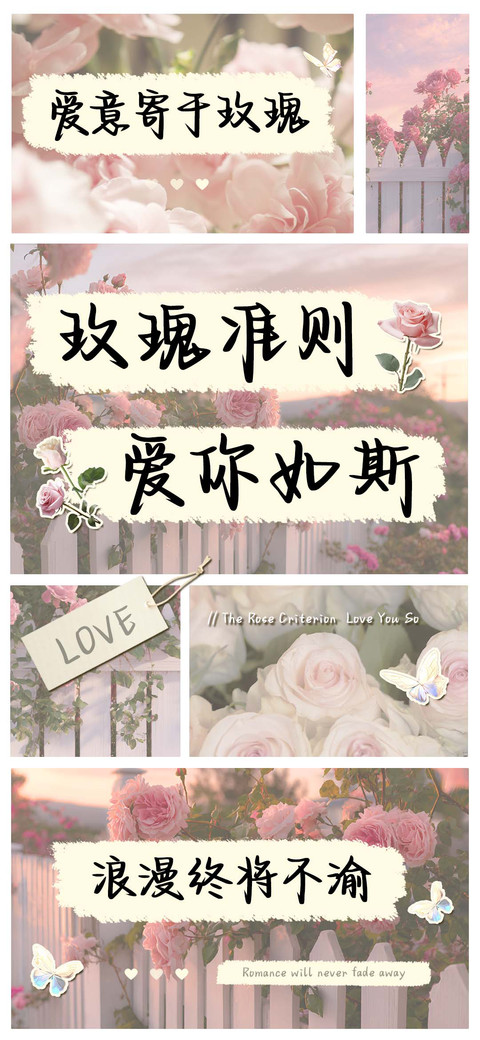 玫瑰准则爱你如斯 preview
