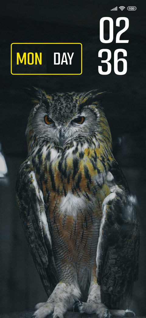 Owl Dark preview