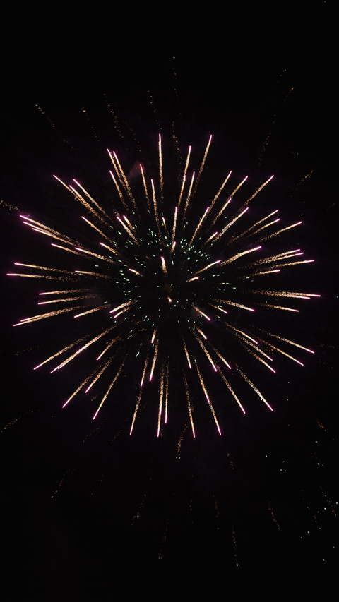 The night sky blossoms preview