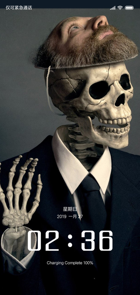 个性骷髅 preview