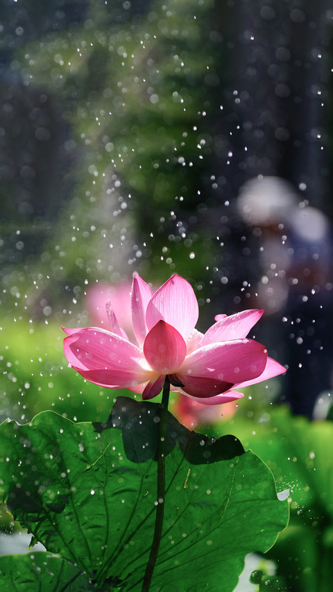 Isnt it good to have a sunny day in mid summer preview