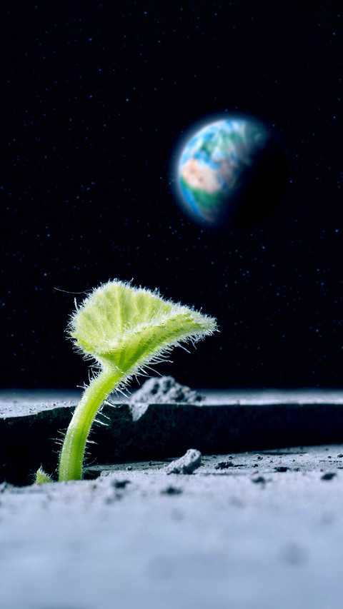 How Plants Grow on the Moon 7 preview