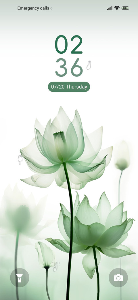 Green lotus leaves preview
