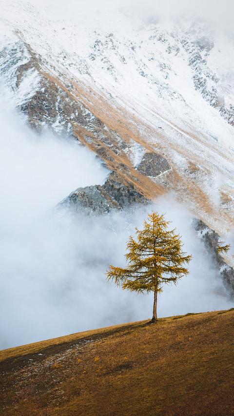 How much do you know about fog preview