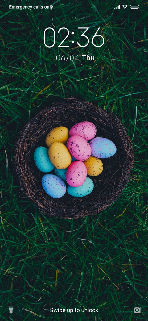 Eggs_3MDS preview