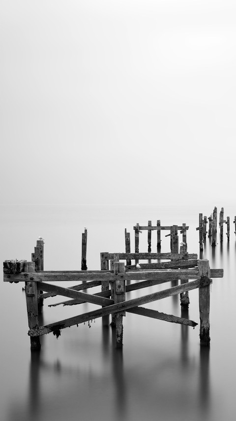 Black and White Photography Art preview