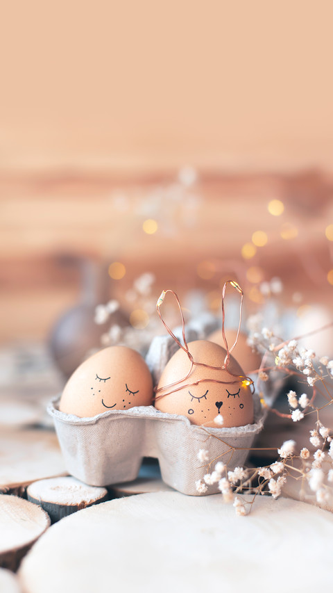 Delicate Composition of Flowers and Eggs preview