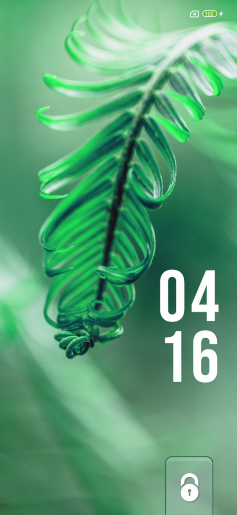 Jungle Feel preview