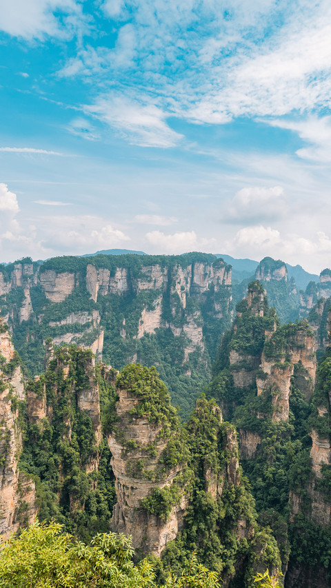 Opening of some scenic spots in Zhangjiajie 83 preview