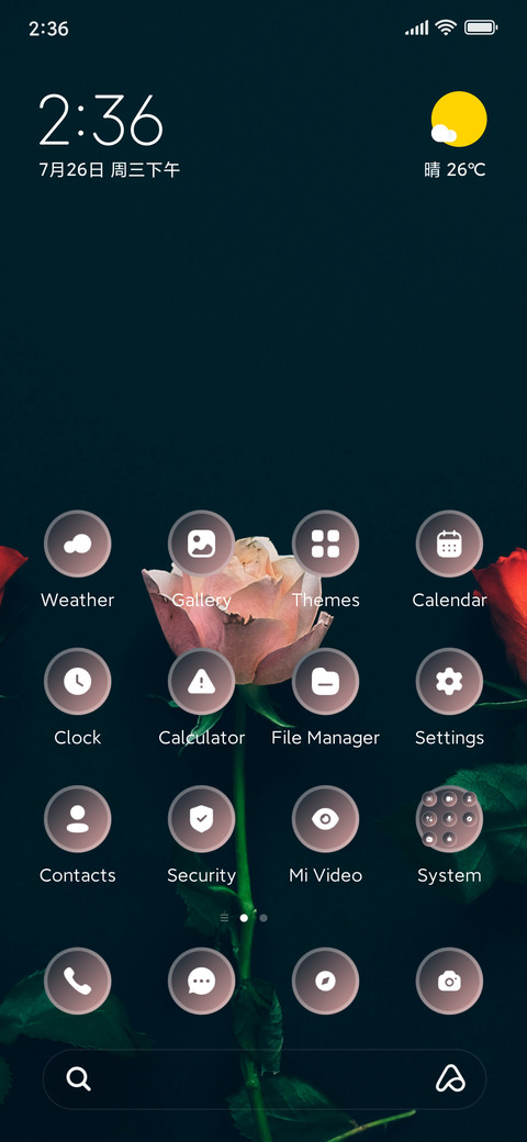 Pink Red Roses preview