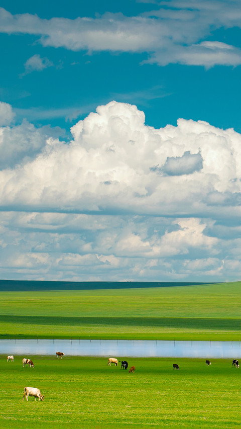 A cloud weighs 80 elephants preview