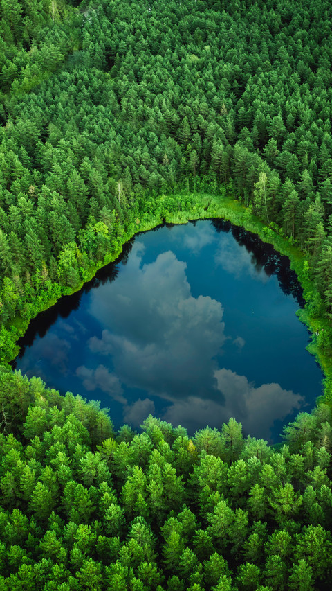 Forest-Framed Lake, A Scene of Pure Nature preview