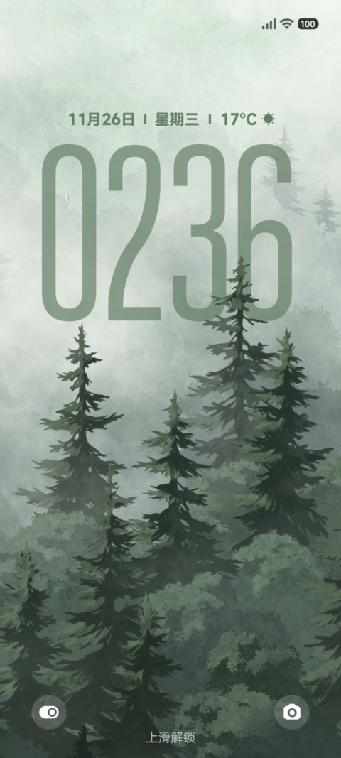 雾隐松林 preview