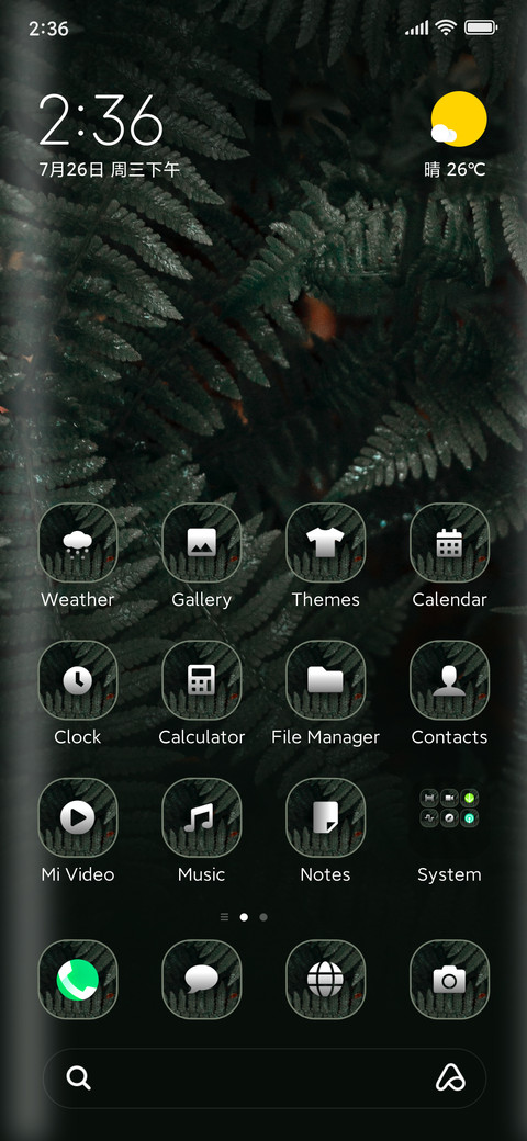Fern preview