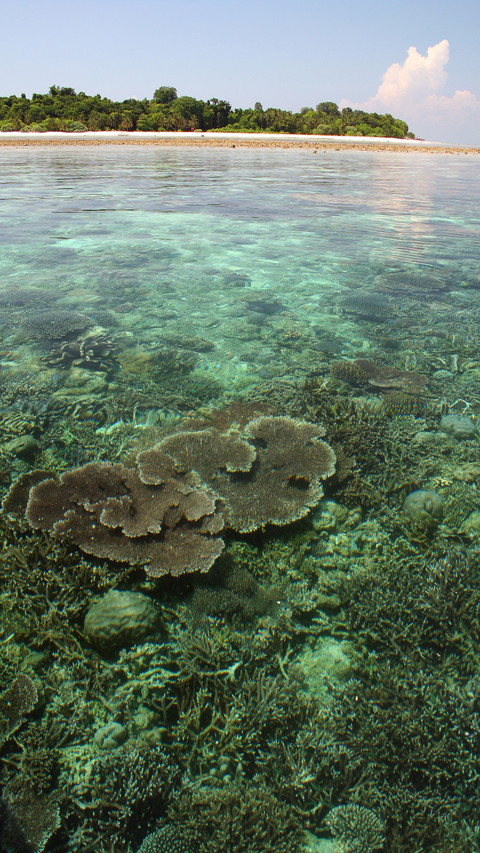 Indonesian landscape preview