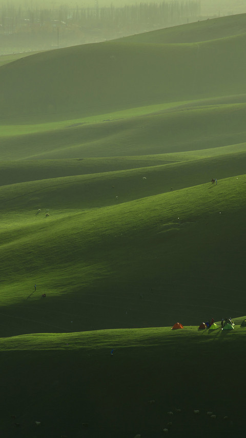Grassland light and shadow preview