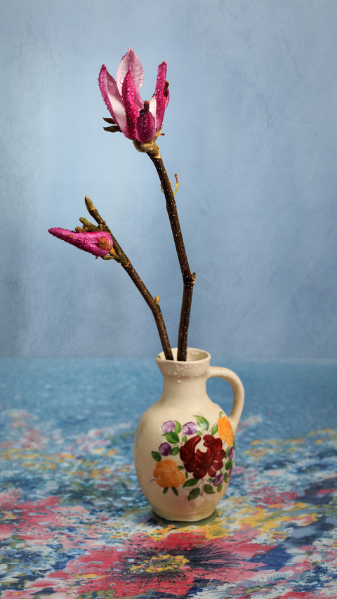 Magnolia Blossoms Have a Unique Style 37 preview