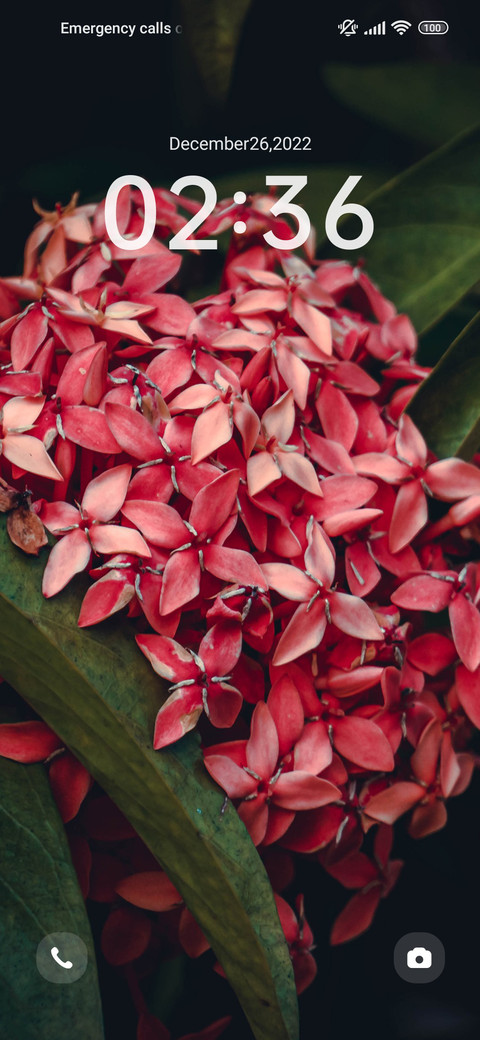 Green leaf flower preview
