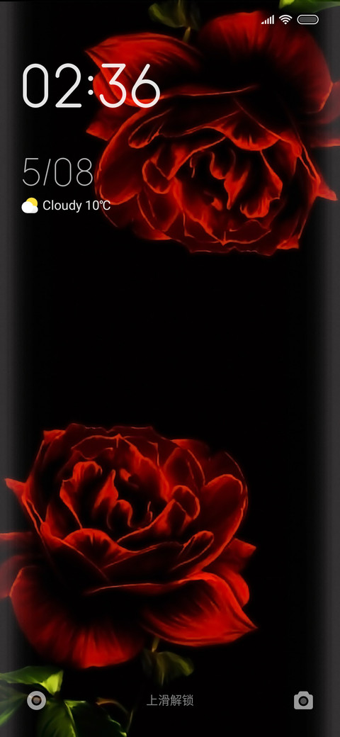 Rose fine preview