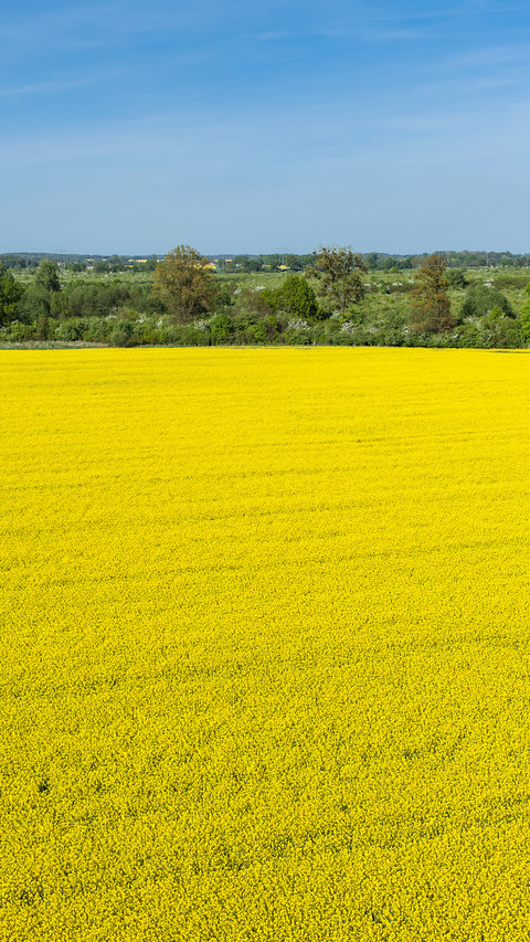 Farmland fields preview
