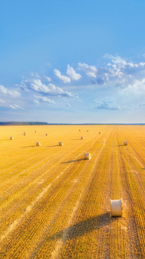 Hay Bales at Sunset in Summer preview