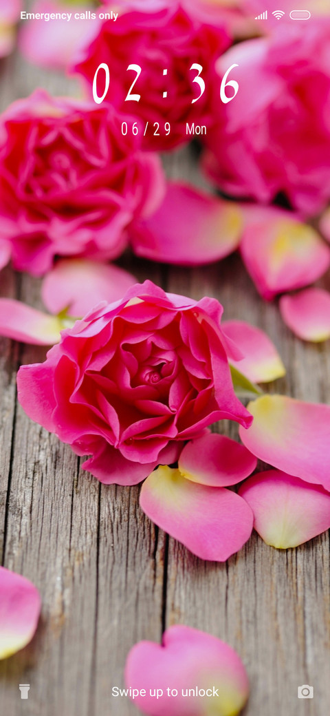 Pink rose_3MDS preview