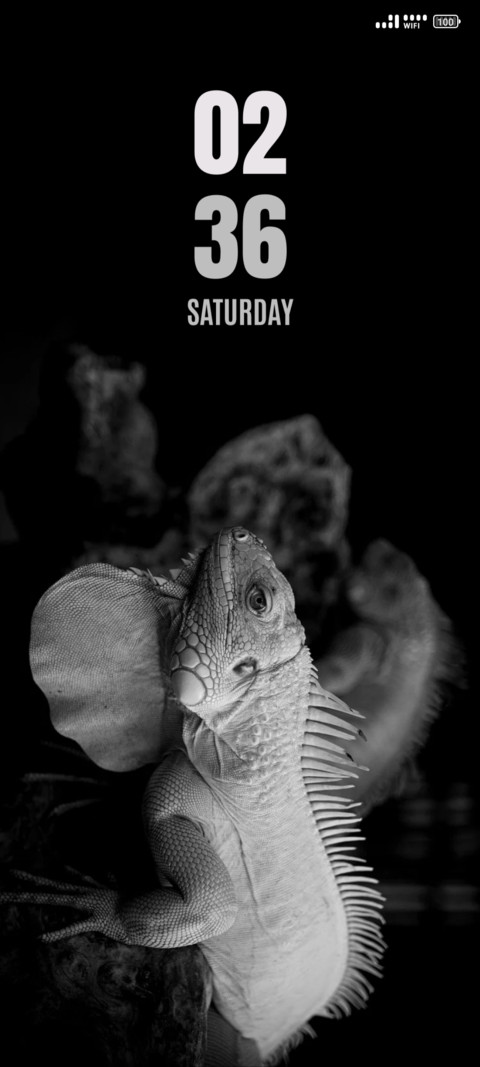 Wild Reptile preview