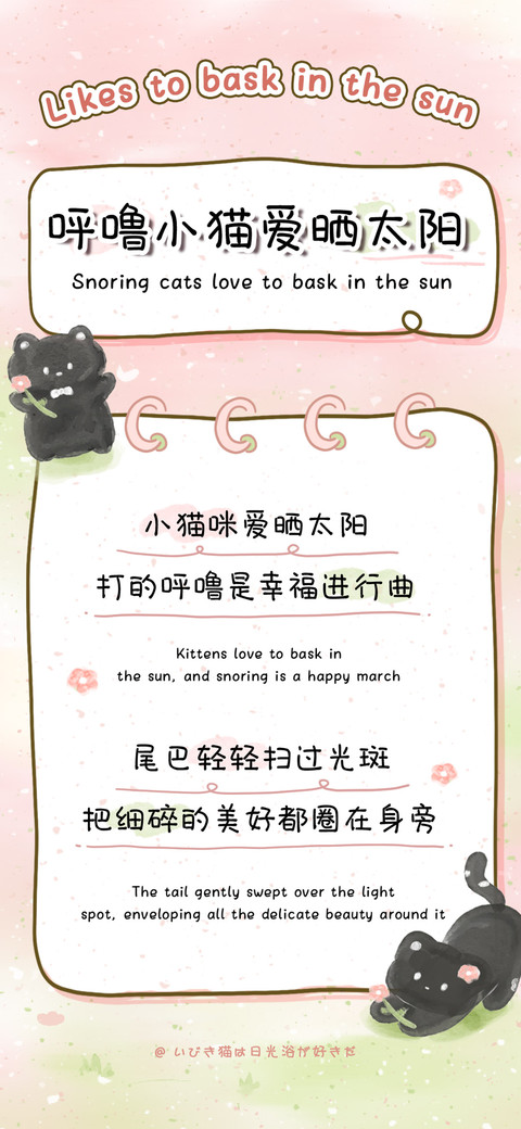 呼噜小猫爱晒太阳 preview