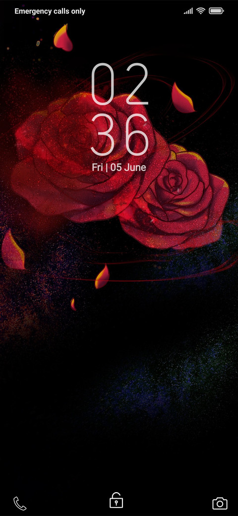 Red Rose_DWM19 preview