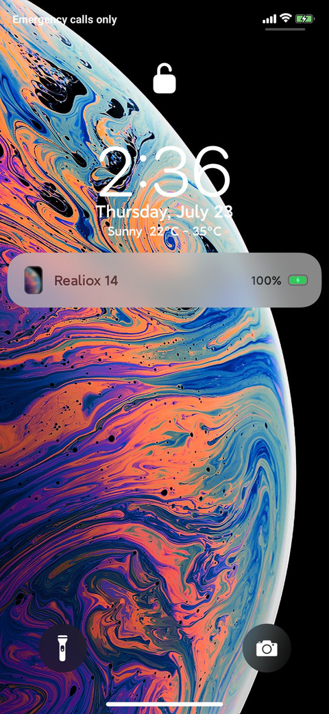 Realiox 13_Dual preview