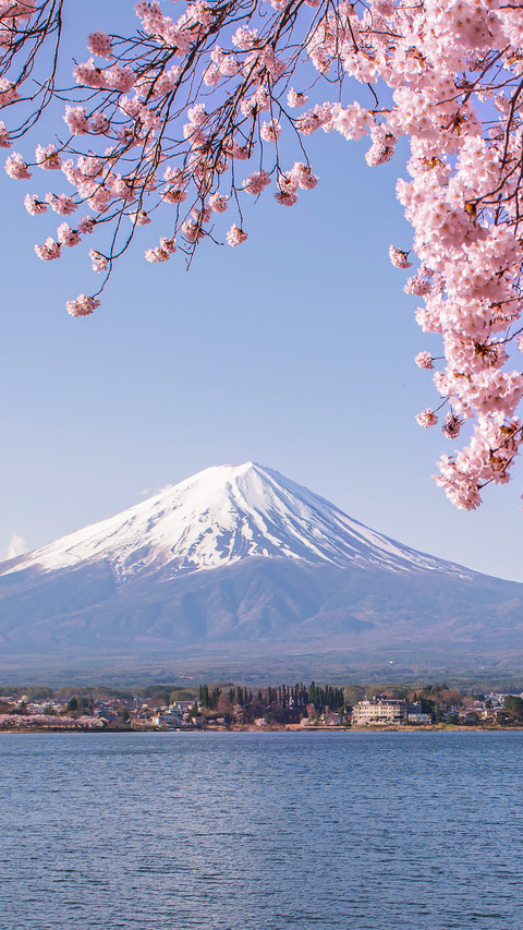 Who can own mount fuji by love preview