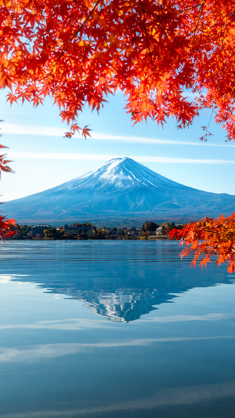 Mount fuji and red maple leaves in japan preview