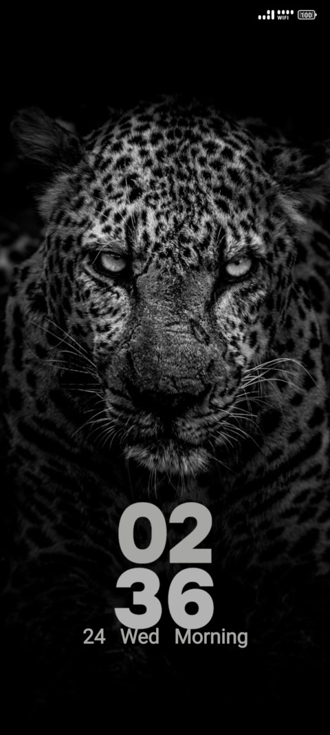 Grayscale Leopard preview