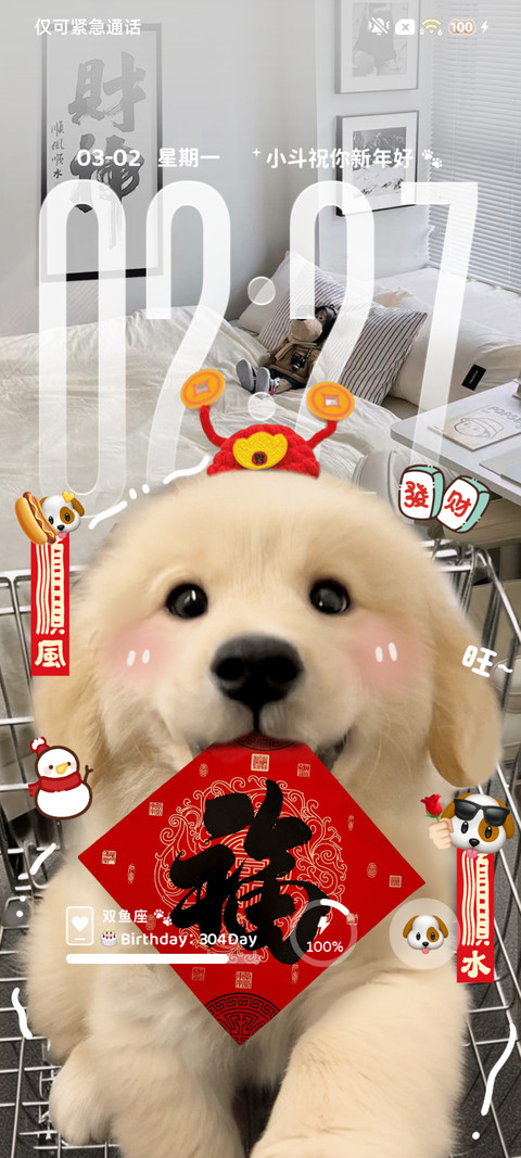ins新年小狗送福 preview