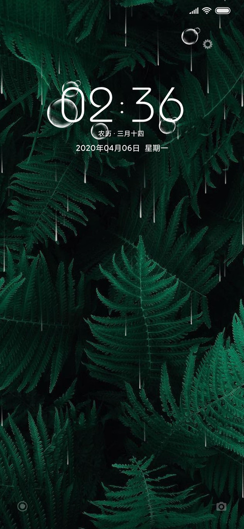 墨绿 preview