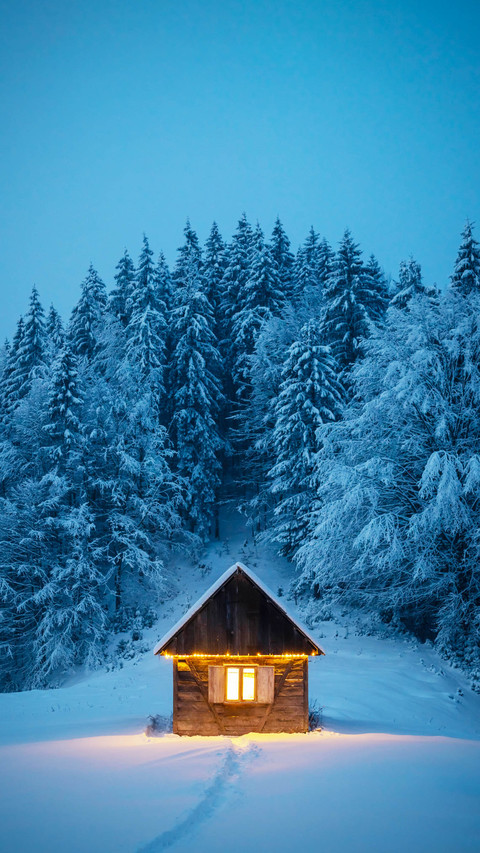 Fantastic winter landscape with glowing wooden cabin in snow preview